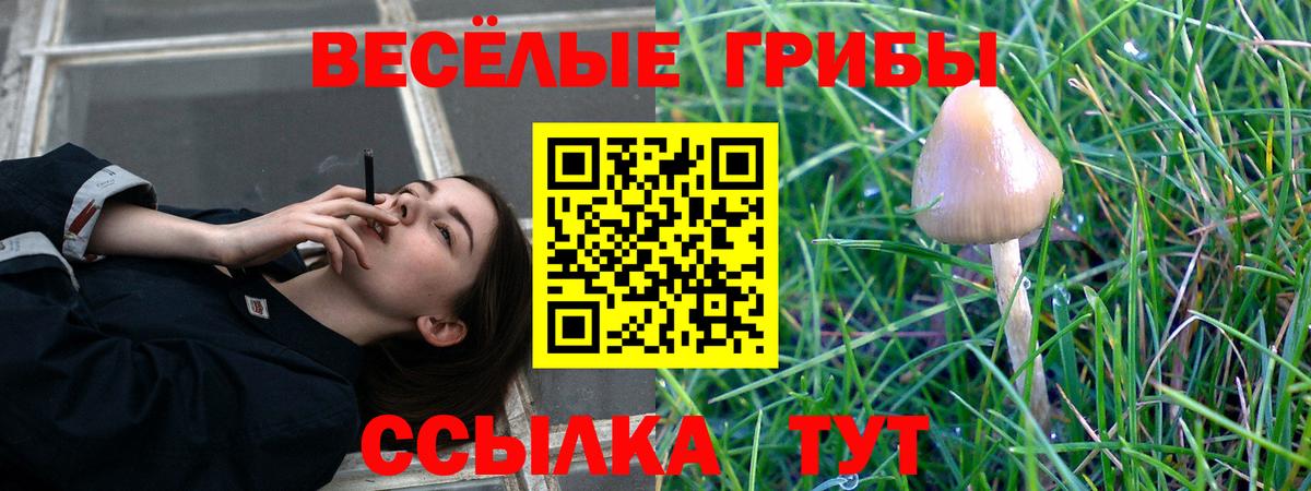 купить  сайты  Галлюциногенные грибы прущие грибы  Псилоцибиновые грибы Magic Shrooms  Вход с VPN  Ликино-Дулёво 