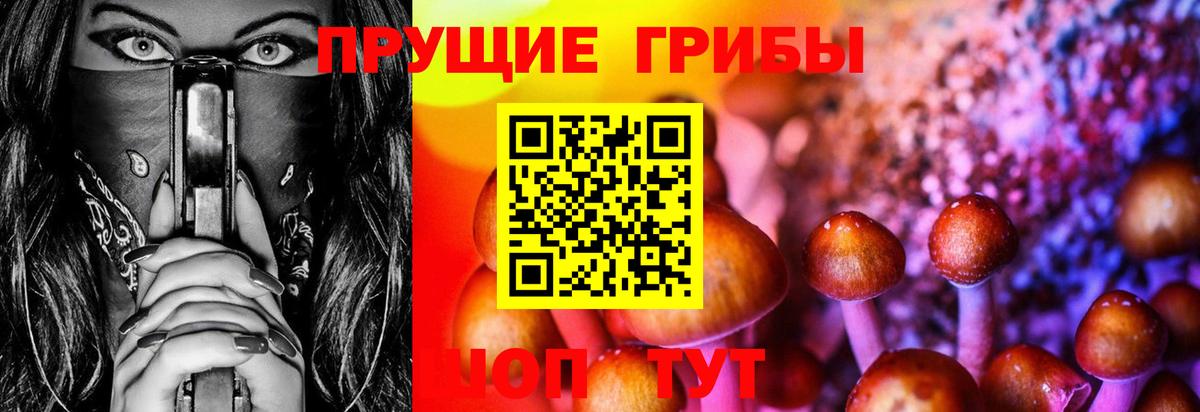 Галлюциногенные грибы Magic Shrooms Ликино-Дулёво